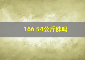 166 54公斤胖吗